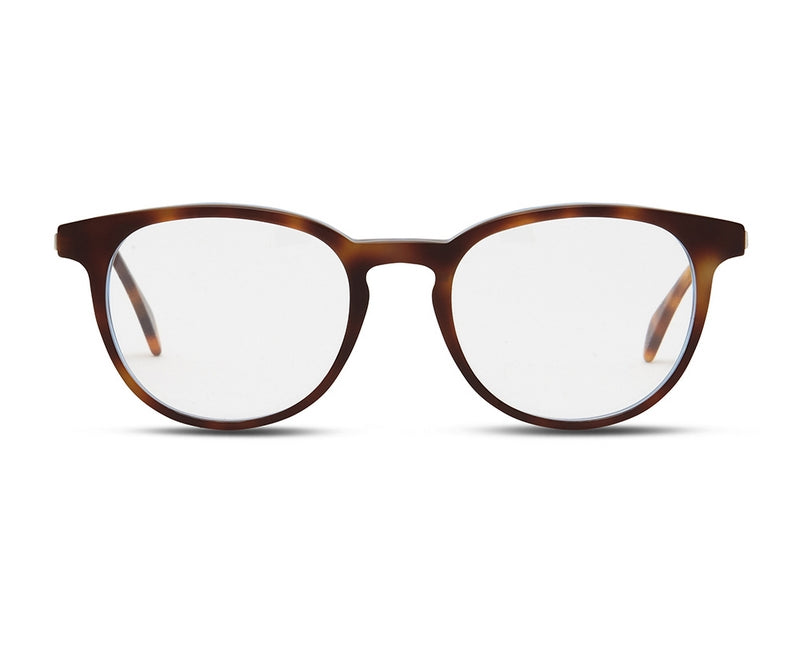 A pair of Avery glasses with a tortoise frame on a white background.
