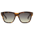 Lord Sunglasses with Jaguar acetate frame