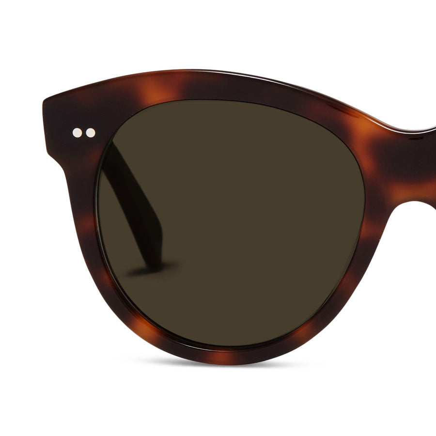 Brown Solid Additional Sunglass Lenses